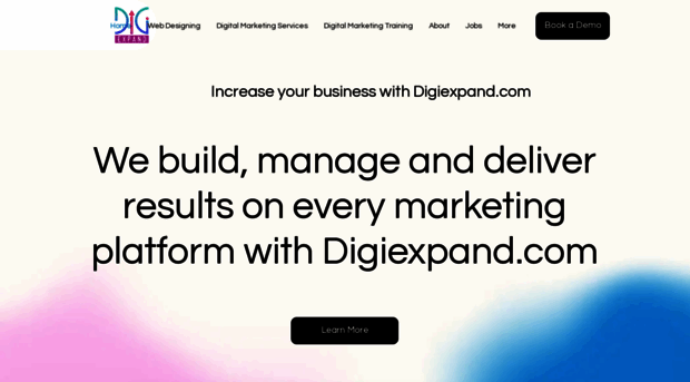 digiexpand.com