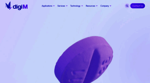 digimsolution.com