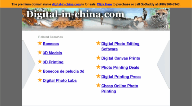 digital-in-china.com