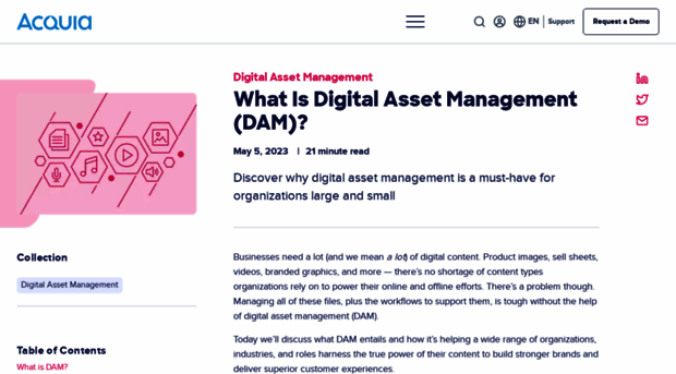 digitalassetmanagement.com