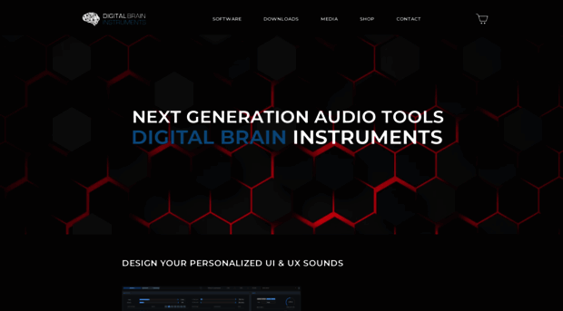 digitalbrain-instruments.com