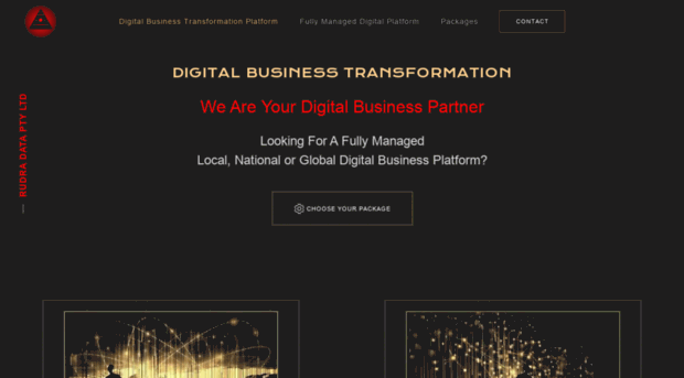 digitalbusinesstransformationplatform.com