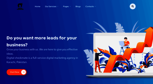 digitalcheckmate.net