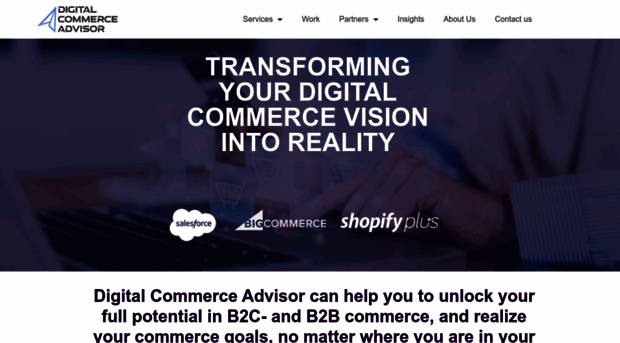 digitalcommerceadvisor.com