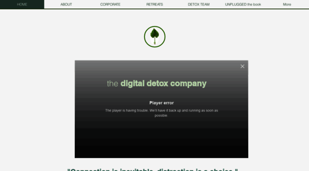 digitaldetoxcompany.com