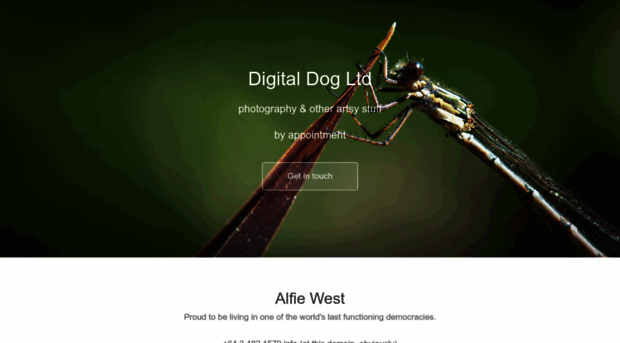 digitaldog.co.nz