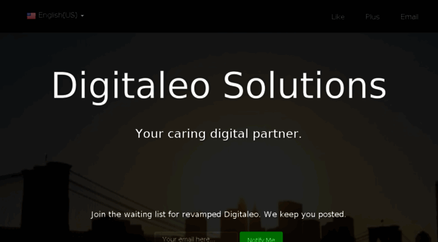 digitaleosolutions.net