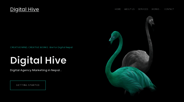 digitalhive.com.np