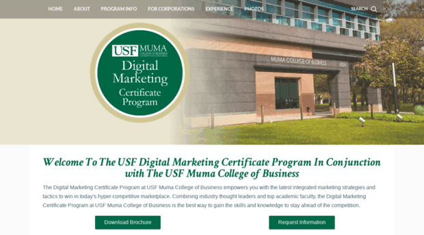 digitalmarketingatusf.com