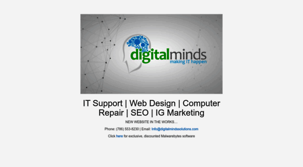 digitalmindssolutions.com