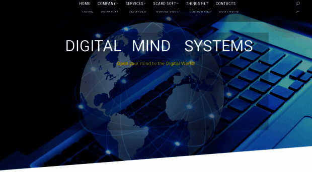 digitalmindsystems.com