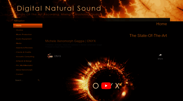 digitalnaturalsound.com