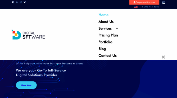 digitalsftware.com