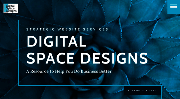 digitalspacedesigns.com