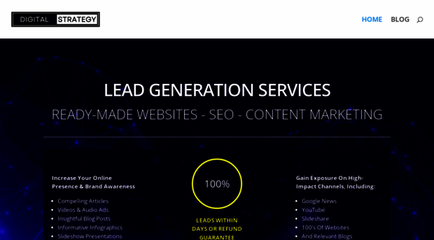 digitalstrategyservice.com