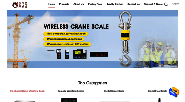 digitalweighing-scales.com