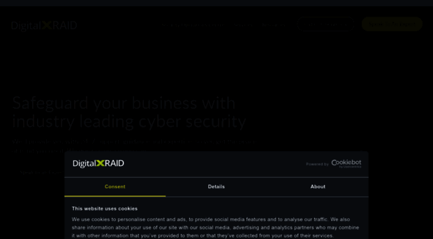 digitalxraid.com