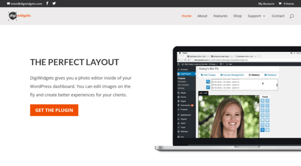 digiwidgets.com