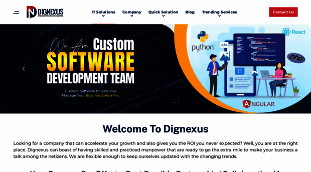 dignexus.com