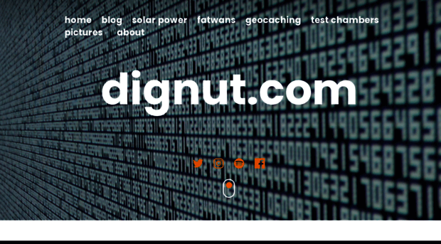 dignut.com