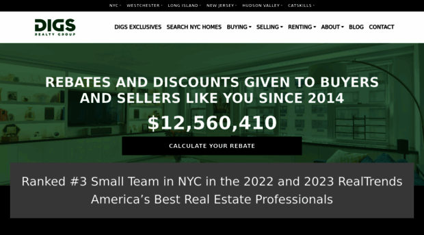 digsrealtynyc.com