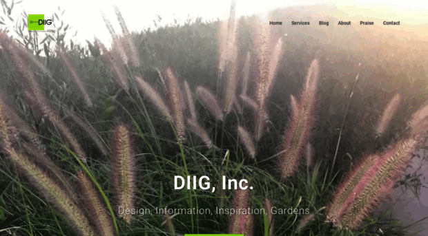 diiginc.com