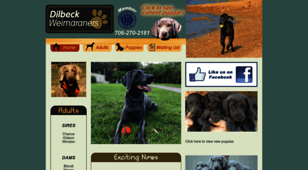 dilbeckweims.com