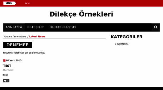 dilekceornekleri.com