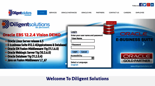 diligentsolutions.net