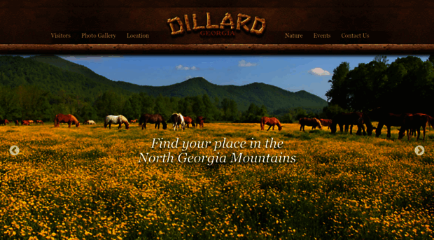 dillardgeorgia.com