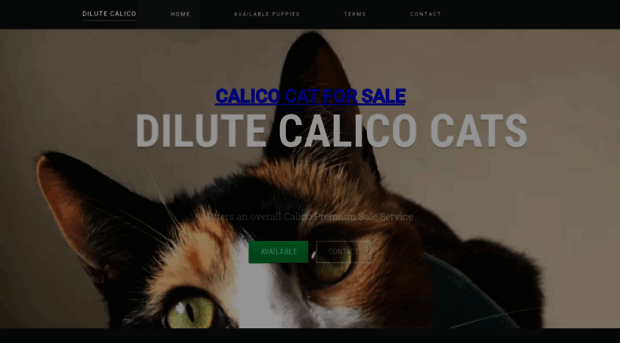 dilute-calico.webflow.io