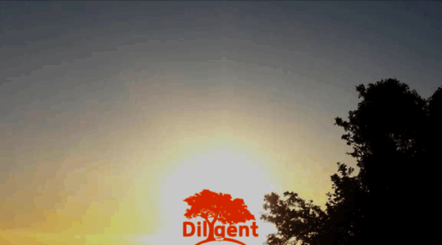 dilygent.com