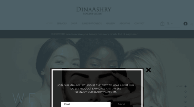 dinaashry.com