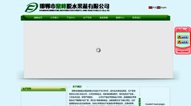 dingfengdriedfoods.com