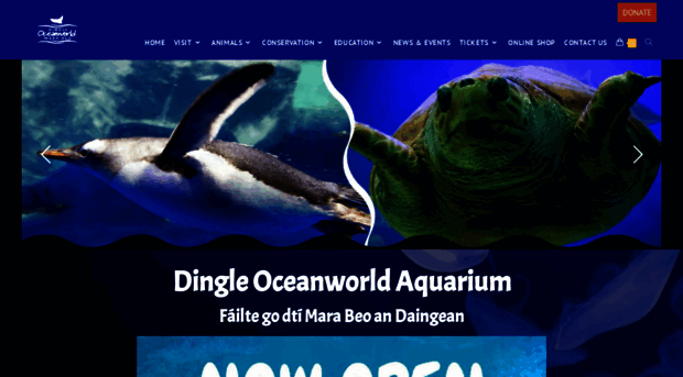 dingle-oceanworld.ie