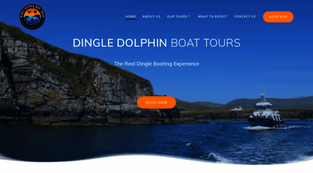 dingledolphin.com