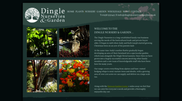 dinglenurseryandgarden.co.uk