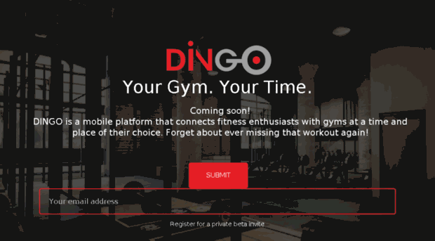 dingo.co.in