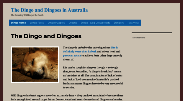 dingo.livingin-australia.com