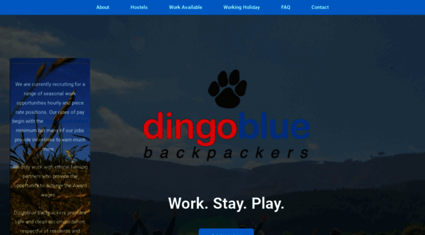 dingobluebackpackers.com