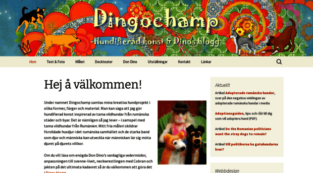 dingochamp.com