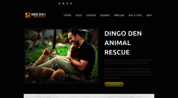 dingoden.net