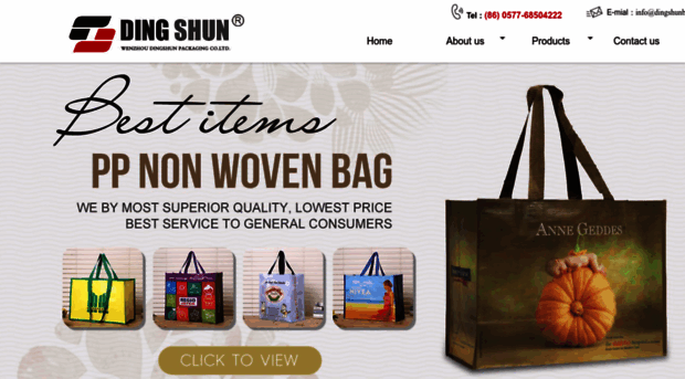 dingshunbag.com