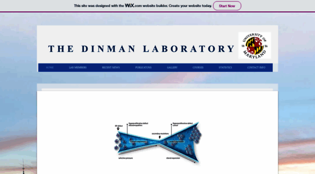 dinmanlab.umd.edu