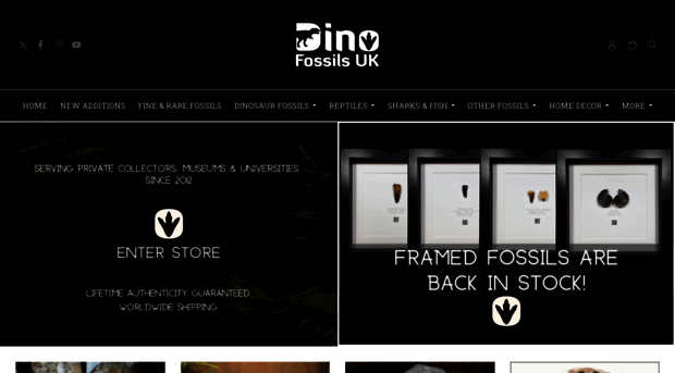 dinofossils.co.uk