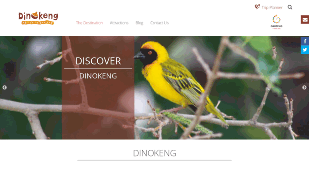 dinokeng-info.co.za