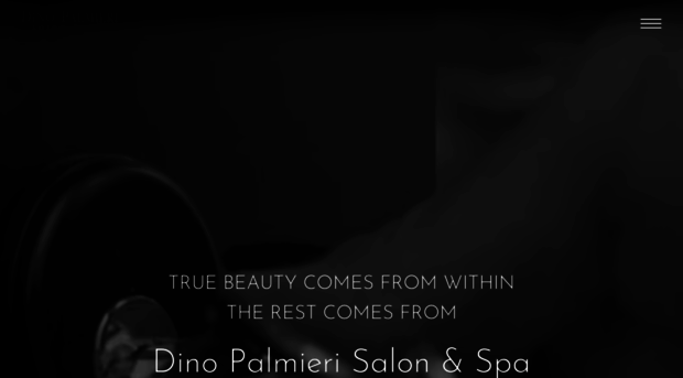 dinopalmierisalon.com