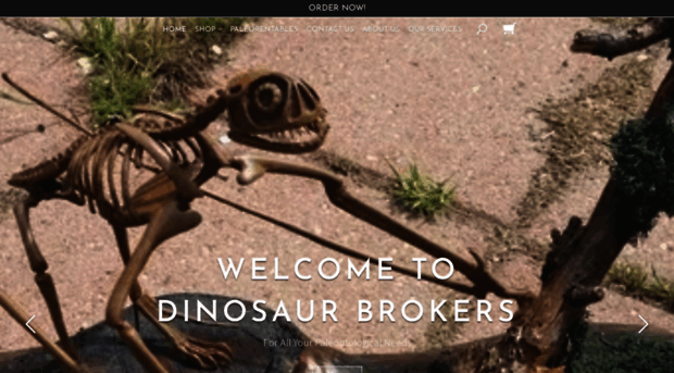 dinosaurbrokers.com