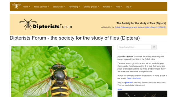 dipterists.org.uk