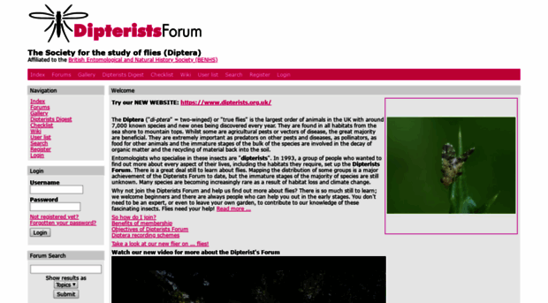 dipteristsforum.org.uk